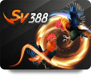 Tổng Hợp SHBET Review Chuyên Môn Từ Các Cao Thủ